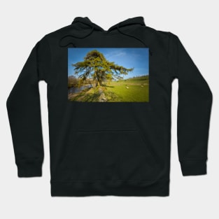 The River Swale Hoodie